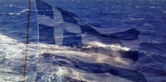 Πόσο μεγάλο είναι ένα πέος μπλε φάλαινεςΕρασιτέχνες διαφυλετικός πορνό γκαλερί